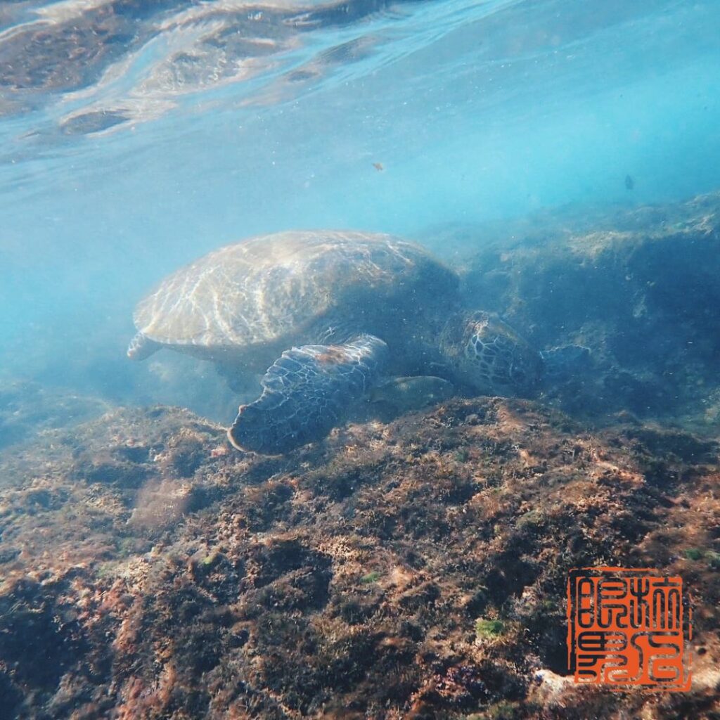 台灣旅遊景點排名