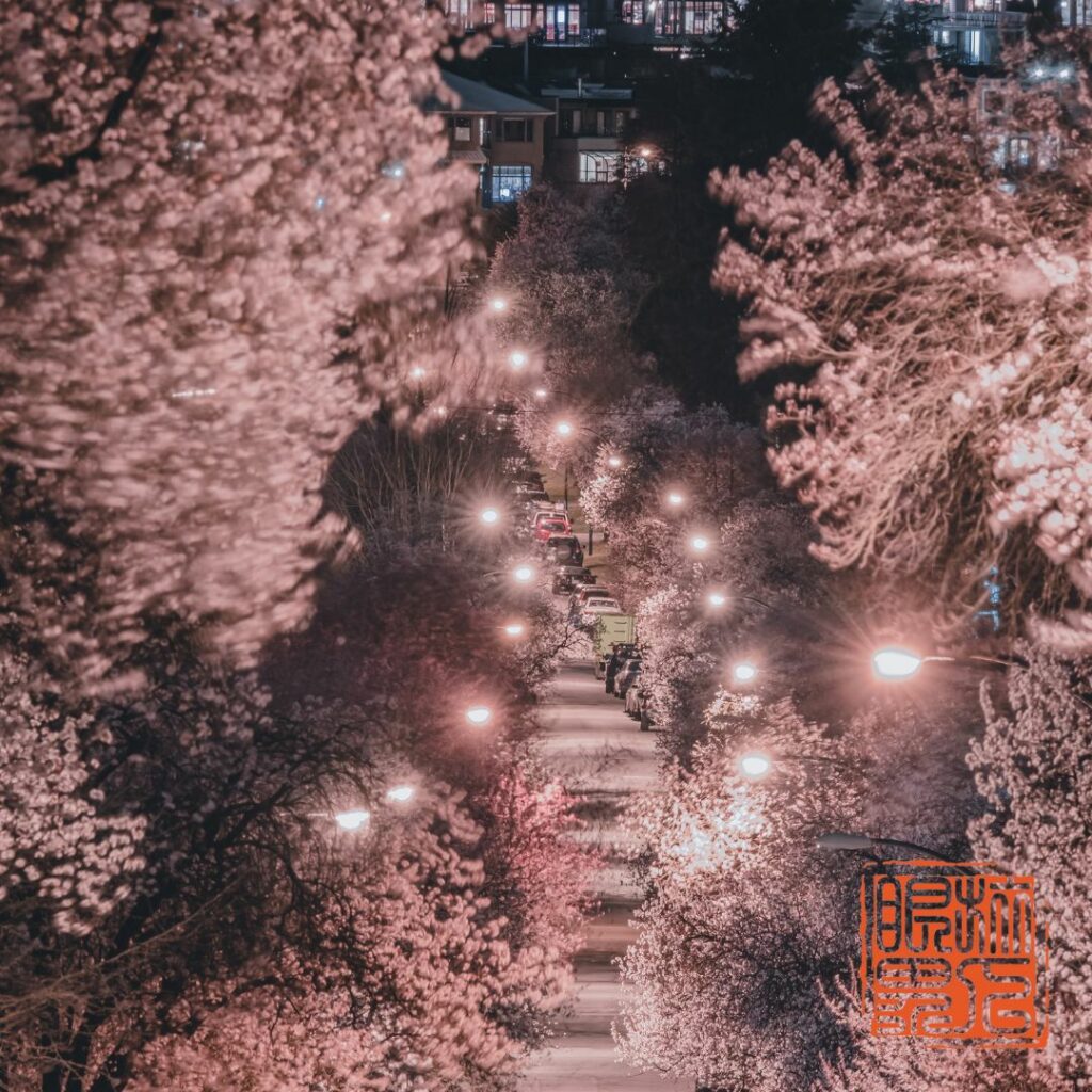 2024過年必去景點