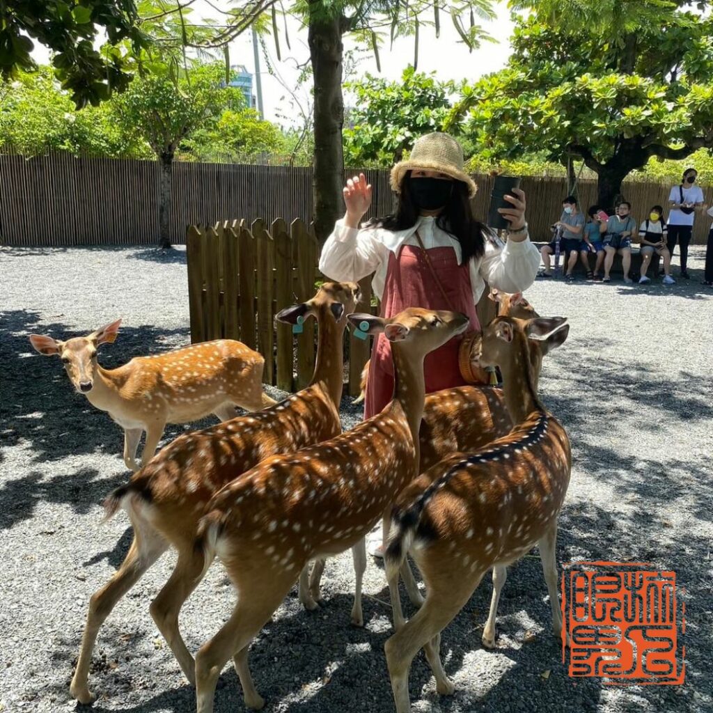 台灣兩天一夜好去處