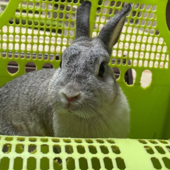 Picture of 臺灣流浪地圖駐站作者／木木