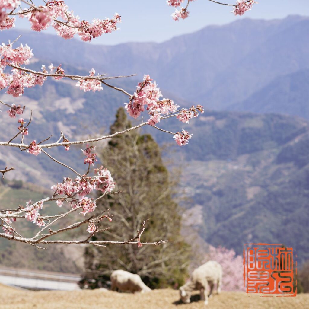 國內旅遊三天兩夜